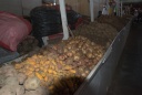 53-Pommes de terre (papas)