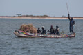 Sénégal (nov 2010 )