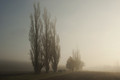 4379-brouillard.jpg