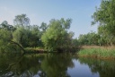 Biotope du delta du Danube