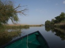 Biotope du delta du Danube